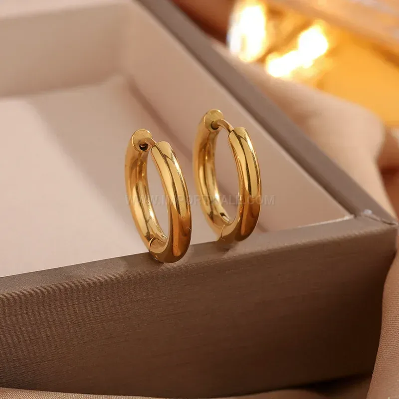 Minimalist French Gold Plated Titanium Steel Hoop Earrings