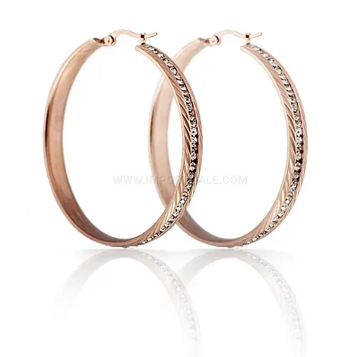 Trendy Crystal Embellished Gold Plated Stainless Steel Hoop Earrings