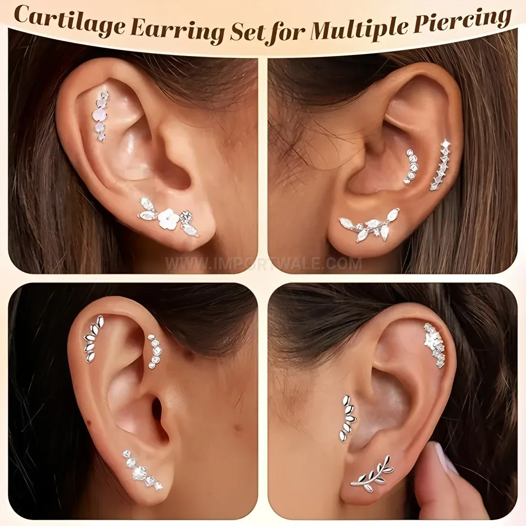 Stylish Stainless Steel Multi Shape Cartilage Earring Set