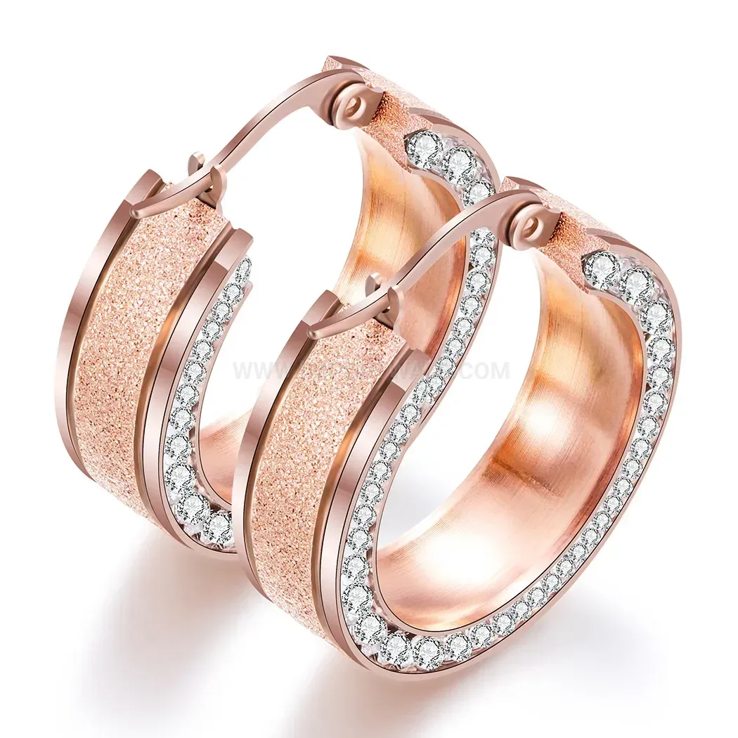 Elegant Frosted Crystal Accent Stainless Steel Huggie Hoop Earrings