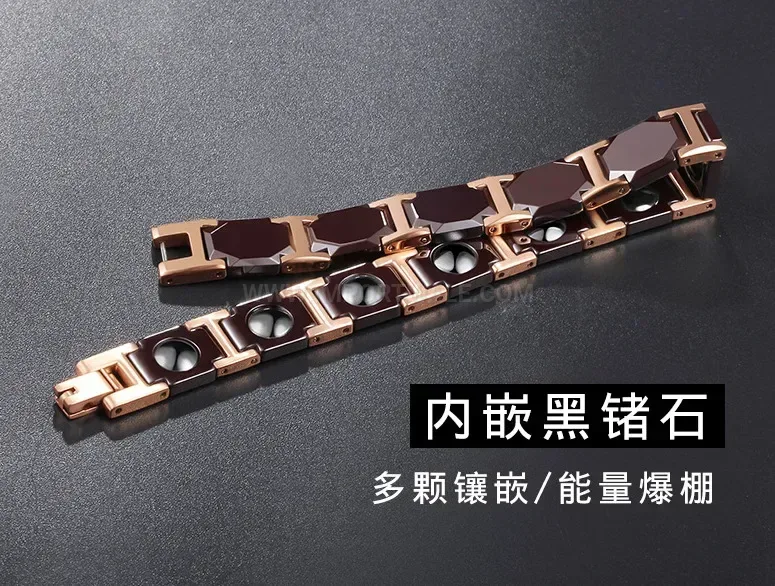 Titanium and Ceramic Bio Magnetic Therapy Link Bracelet