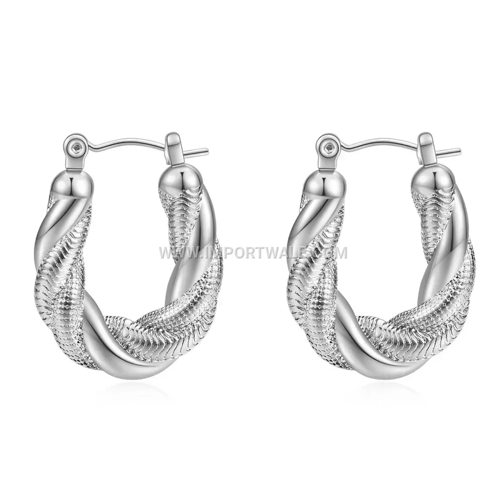 Double Layer Twisted Snake Chain Stainless Steel Earrings