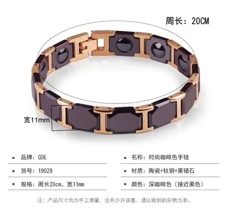 Titanium and Ceramic Bio Magnetic Therapy Link Bracelet