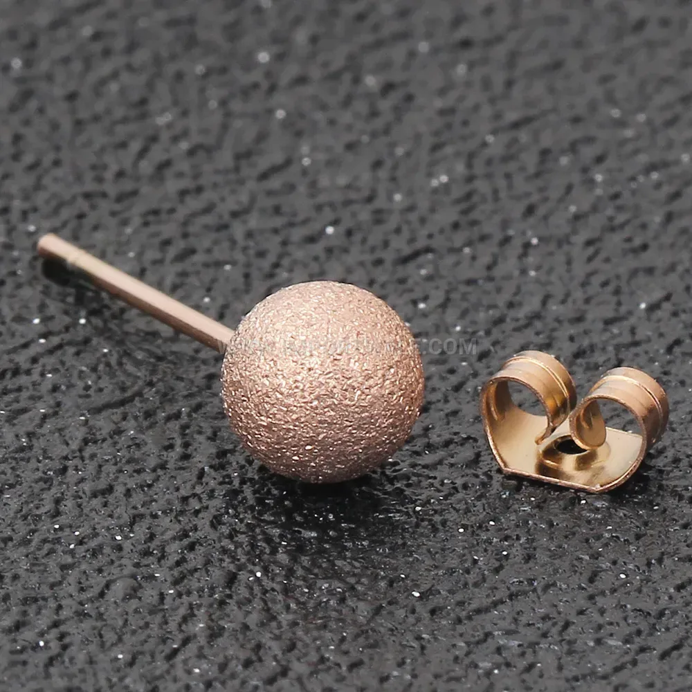 Contemporary Frosted Stainless Steel Round Stud Earrings