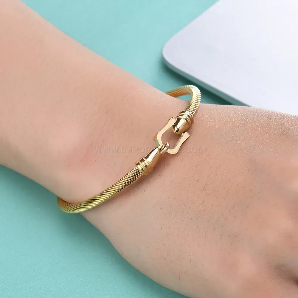 Classic Horseshoe Shackle Clasp Cable Wire Stainless Steel Bangle