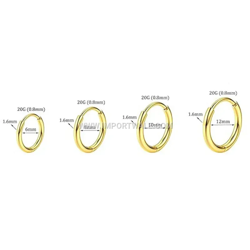 Classic Stainless Steel 18K Gold Plated Hoop Earrings