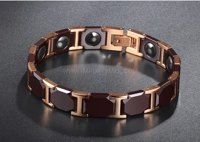 Titanium and Ceramic Bio Magnetic Therapy Link Bracelet