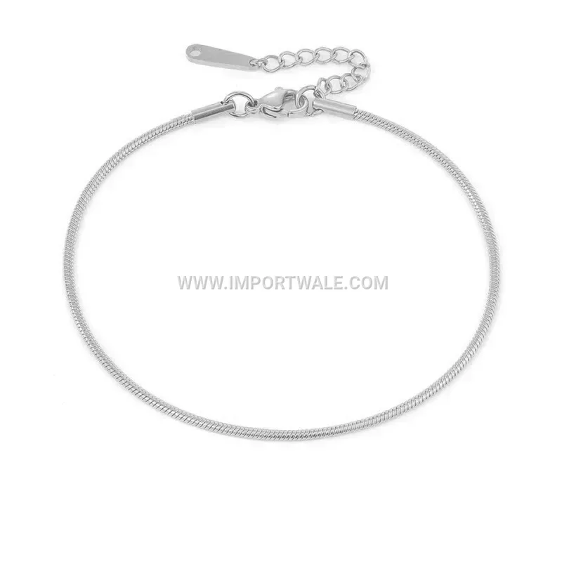 Sleek Snake Chain Titanium Steel Anklet